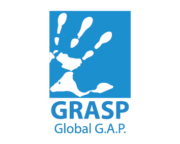 Grasp